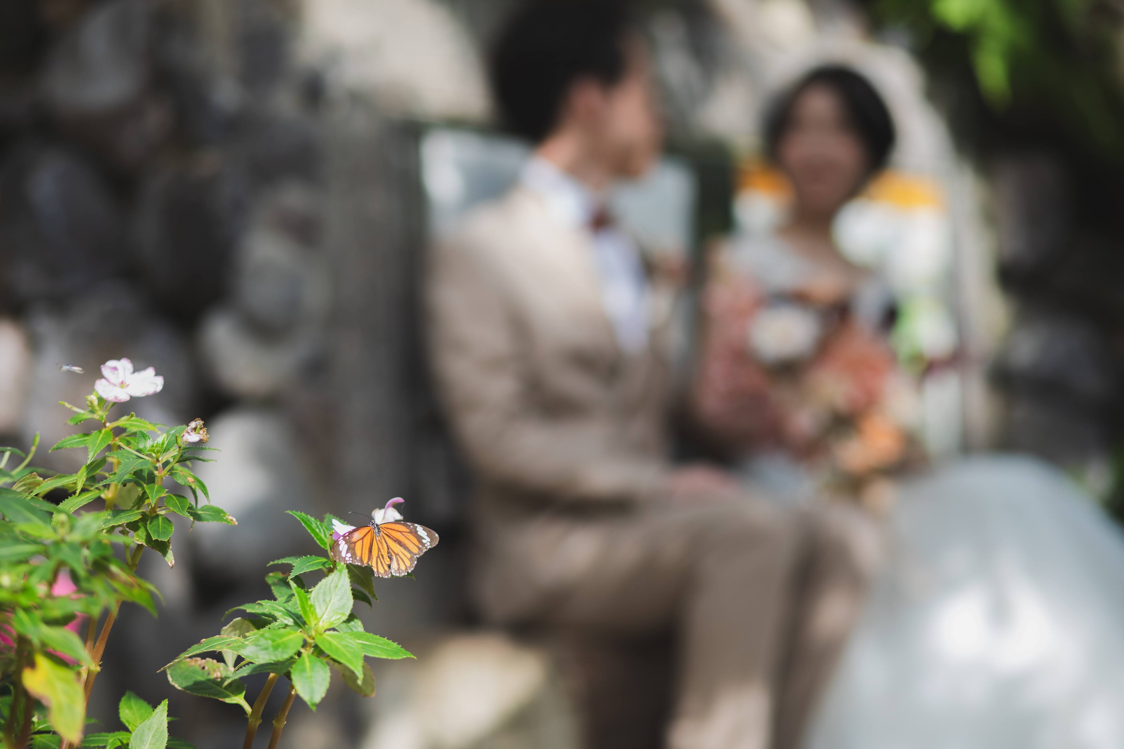 OSAKA St.BATH CHURCH(大阪セントバース教会)