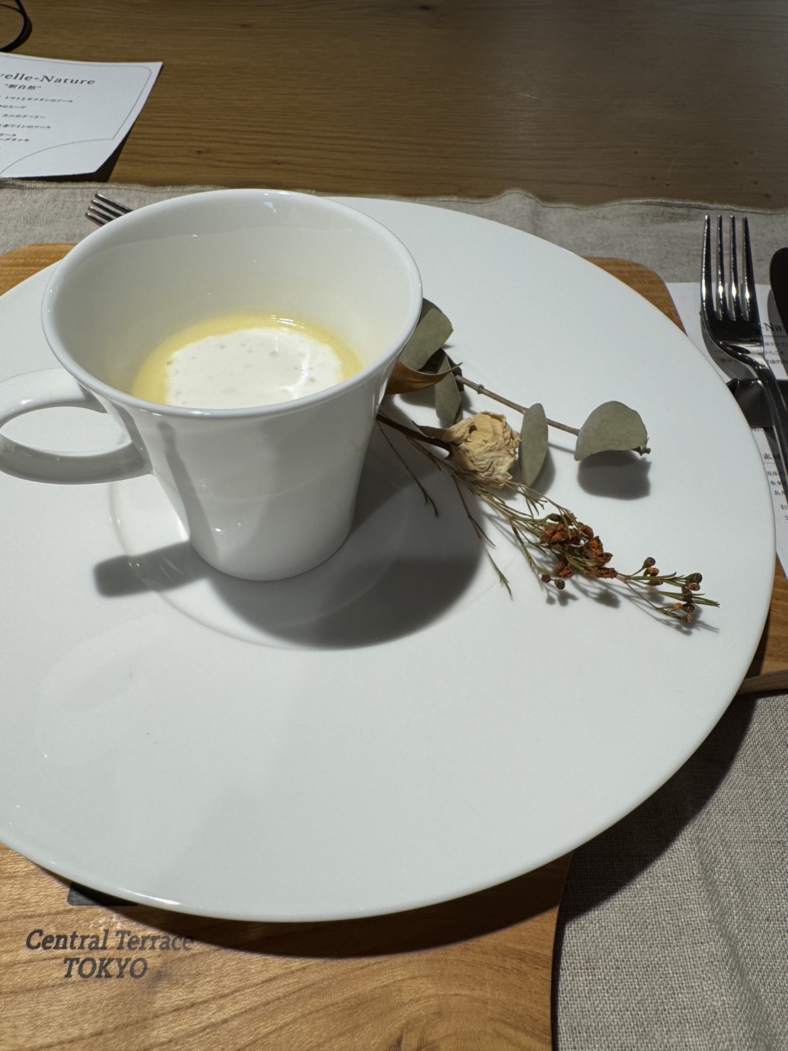 Central Terrace TOKYO