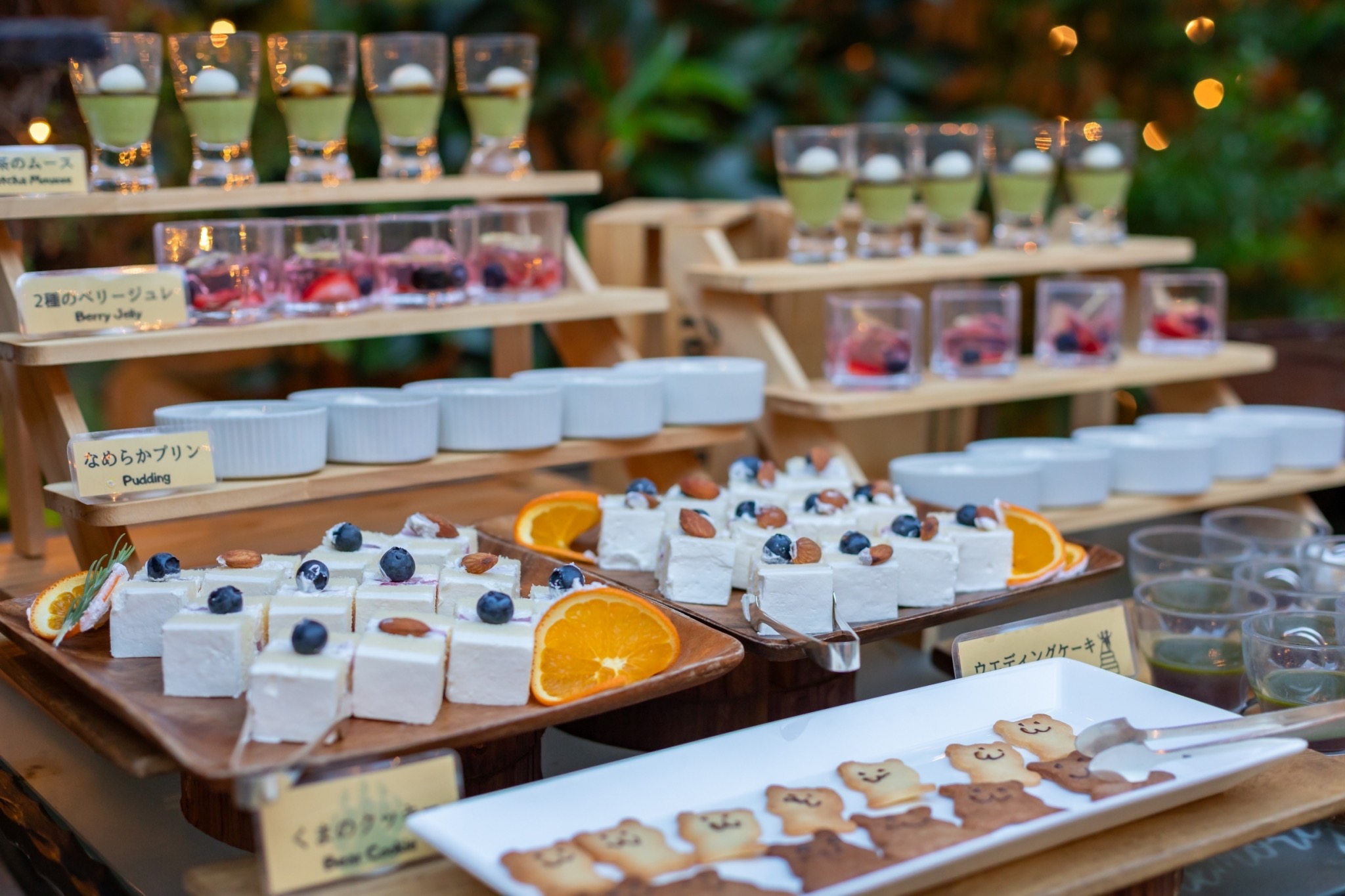 アイネス ヴィラノッツェ宝ヶ池