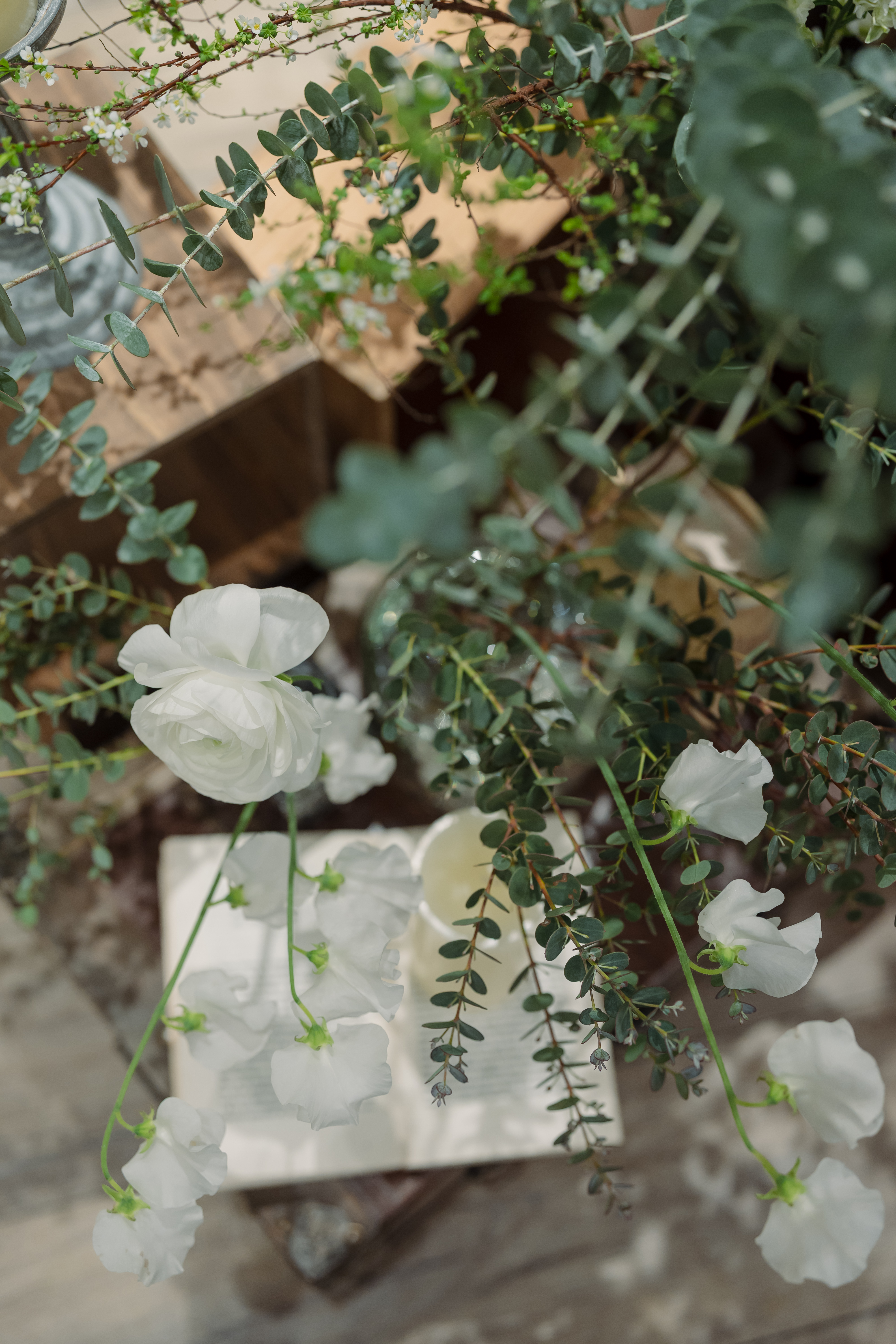 Anniversary.An EBISU