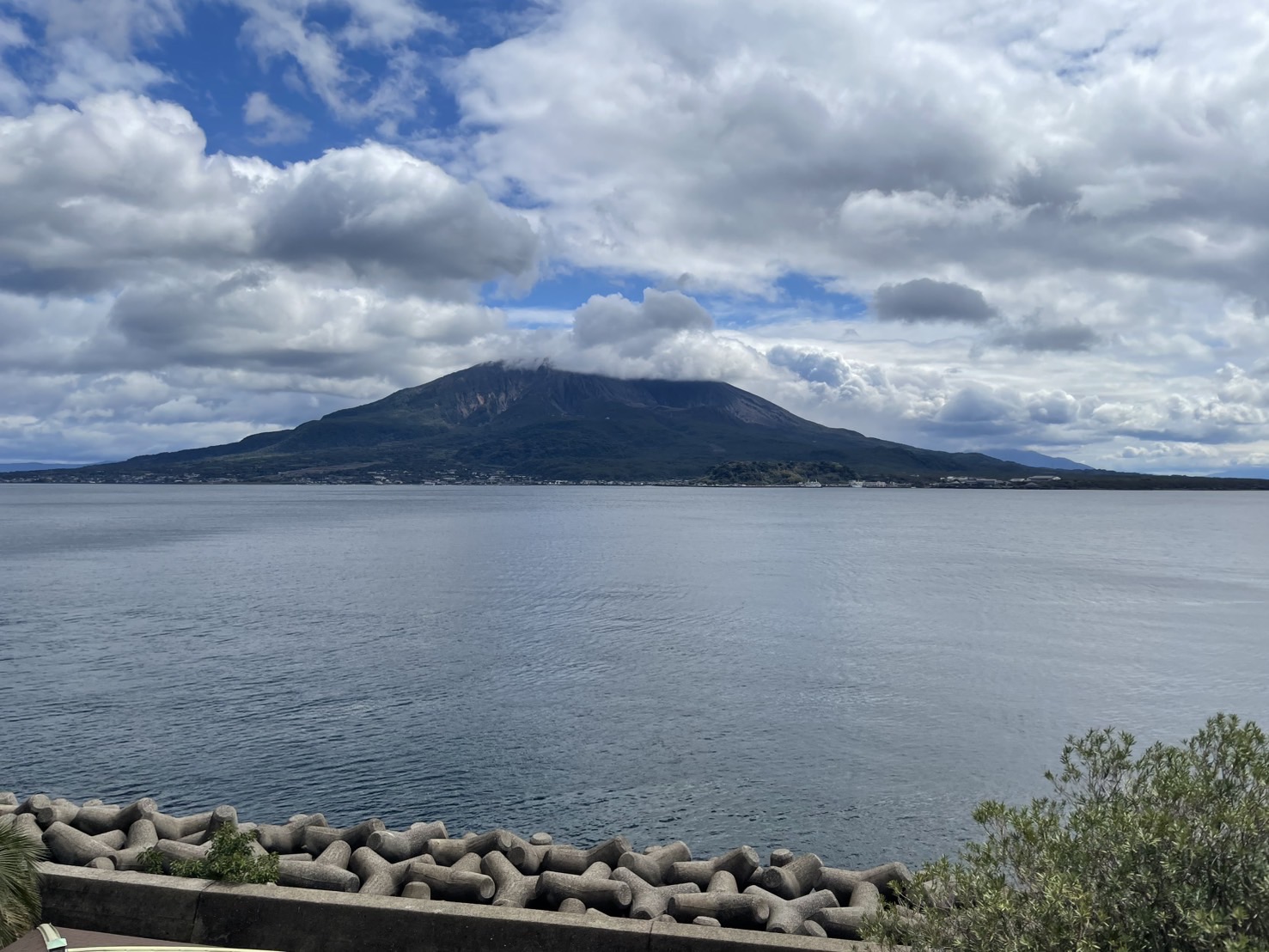 THE BAYSUITE SAKURAJIMA TERRACE