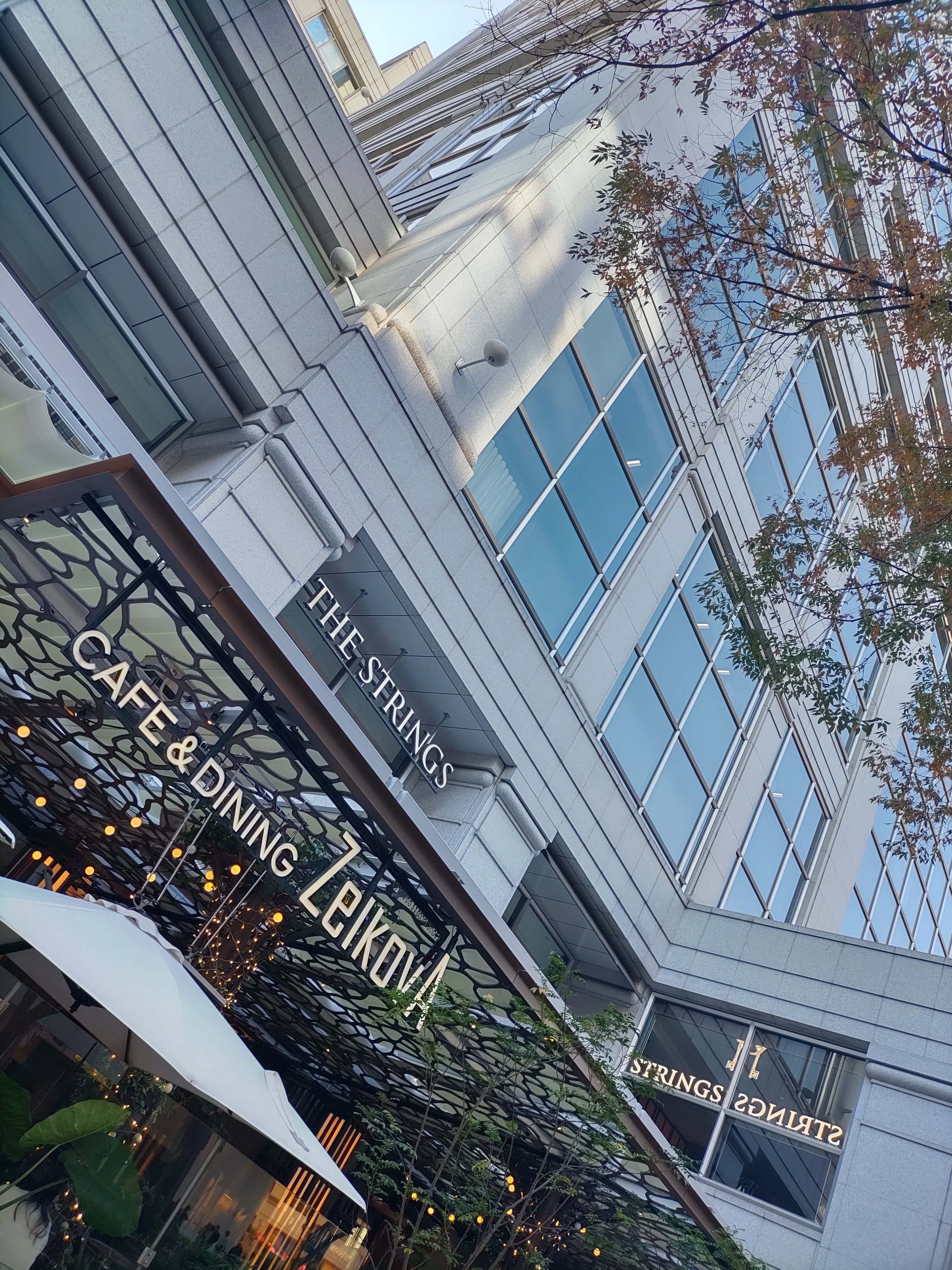 ザ ストリングス表参道