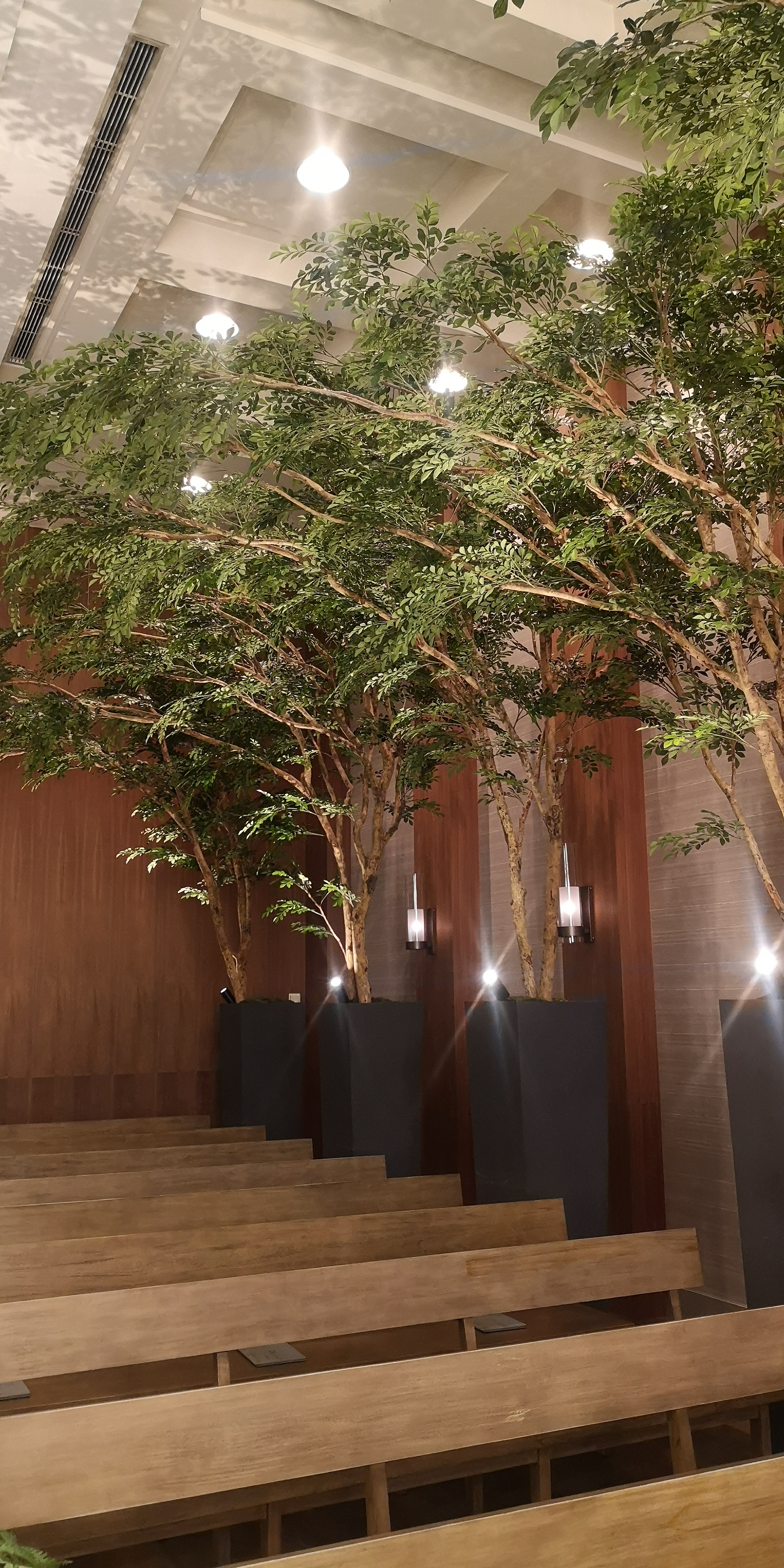 ザ ストリングス表参道