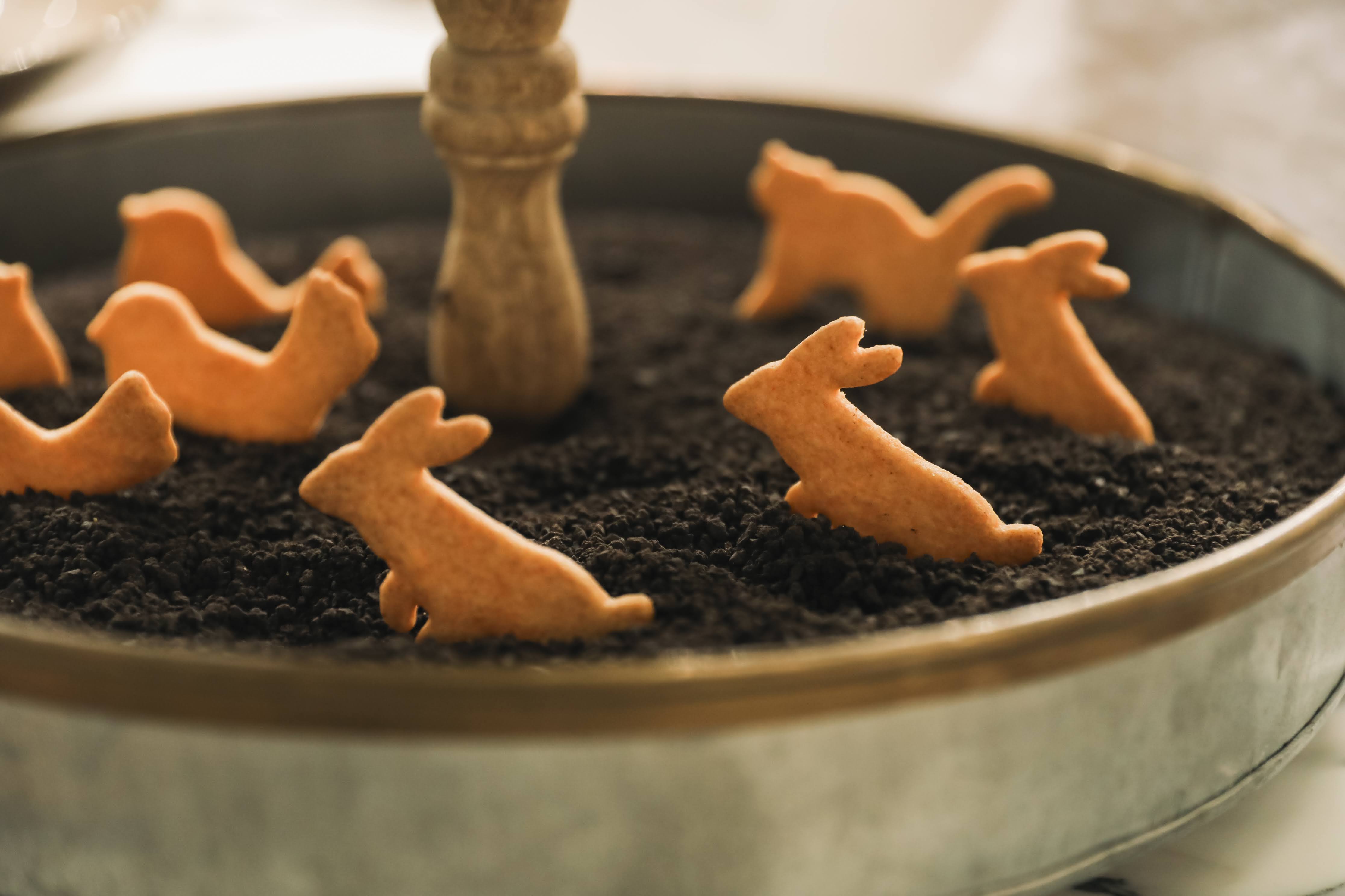 宮の森フランセス教会