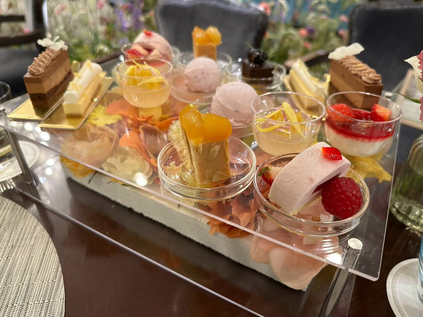 ザ クラブ オブ エクセレント コースト(The Club of EXCELLENT COAST)