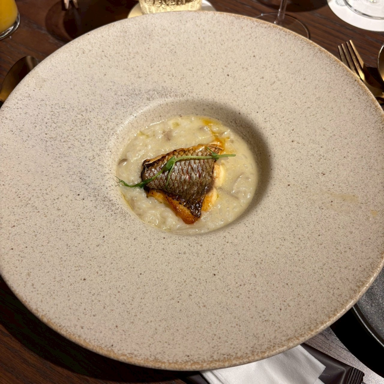 グリリアパージナ