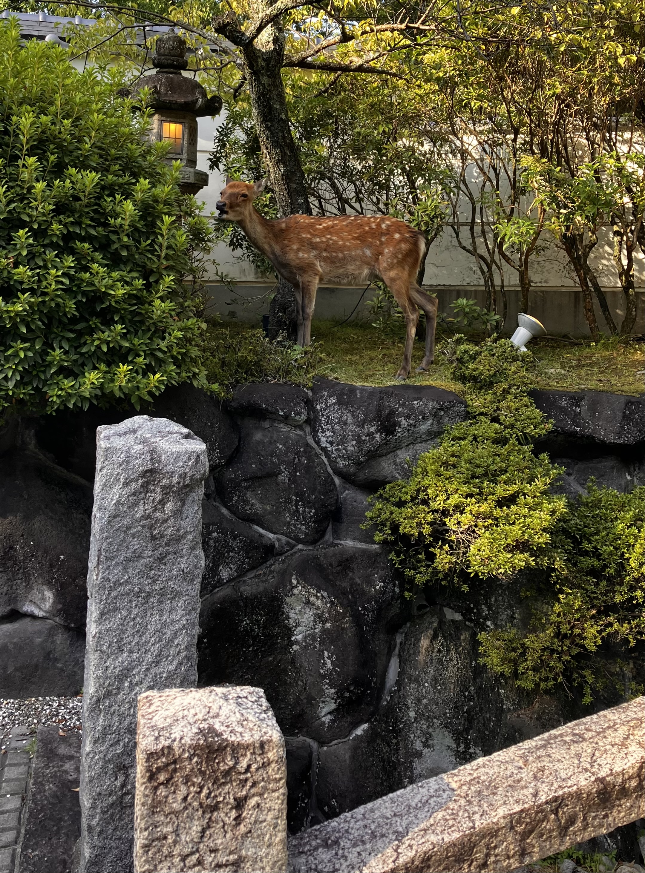 The KIKUSUIRO narapark(菊水楼)