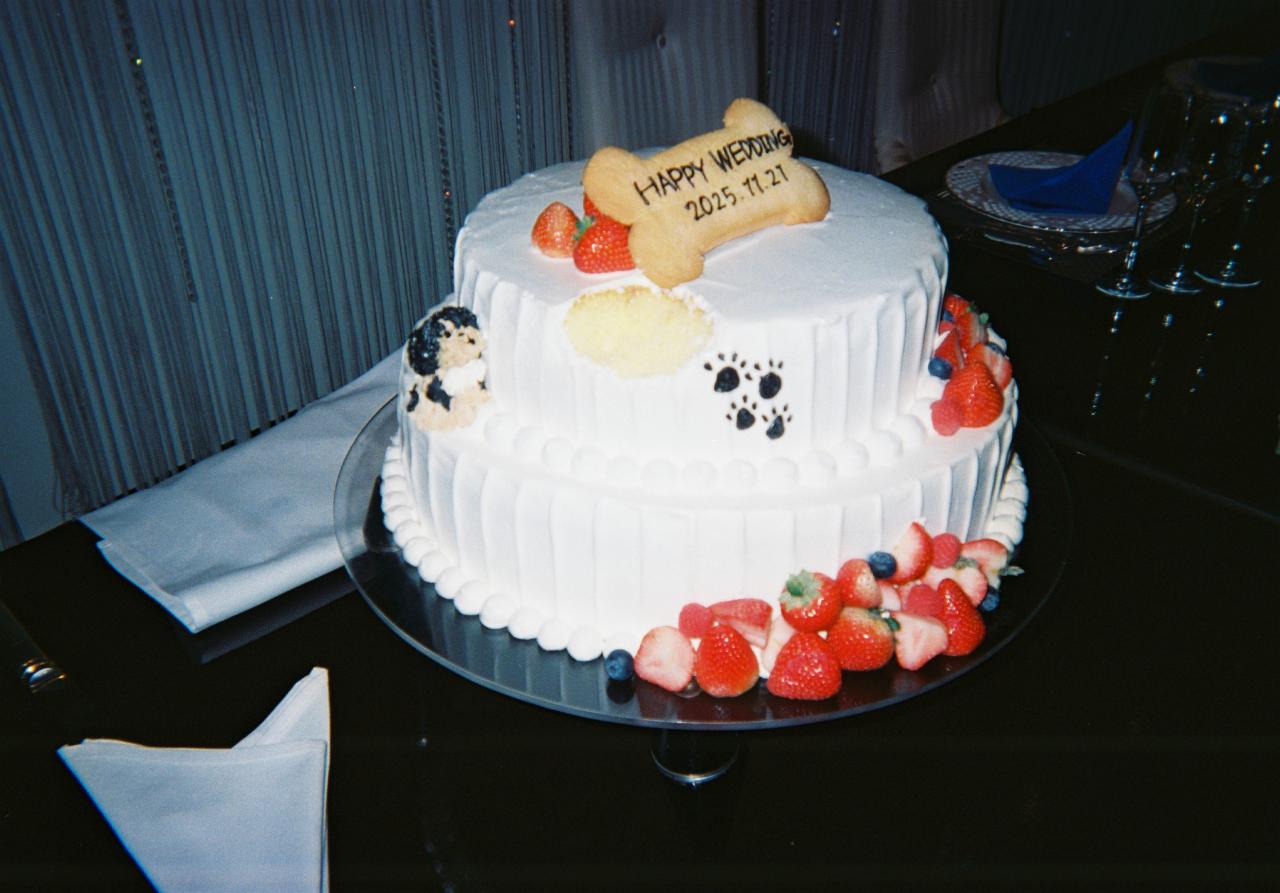 ザ コルトーナ シーサイド台場