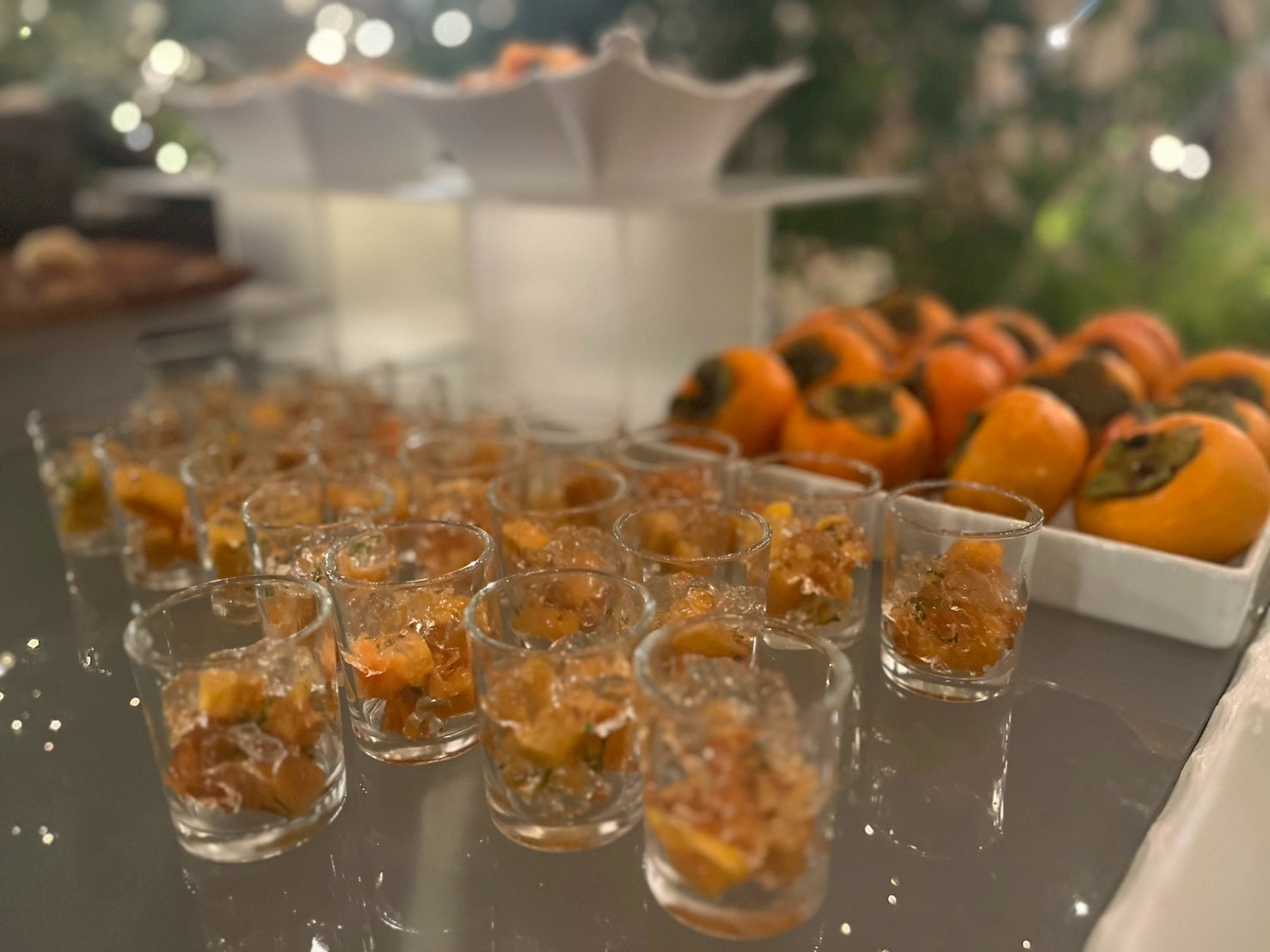 アイネス ヴィラノッツェ宝ヶ池