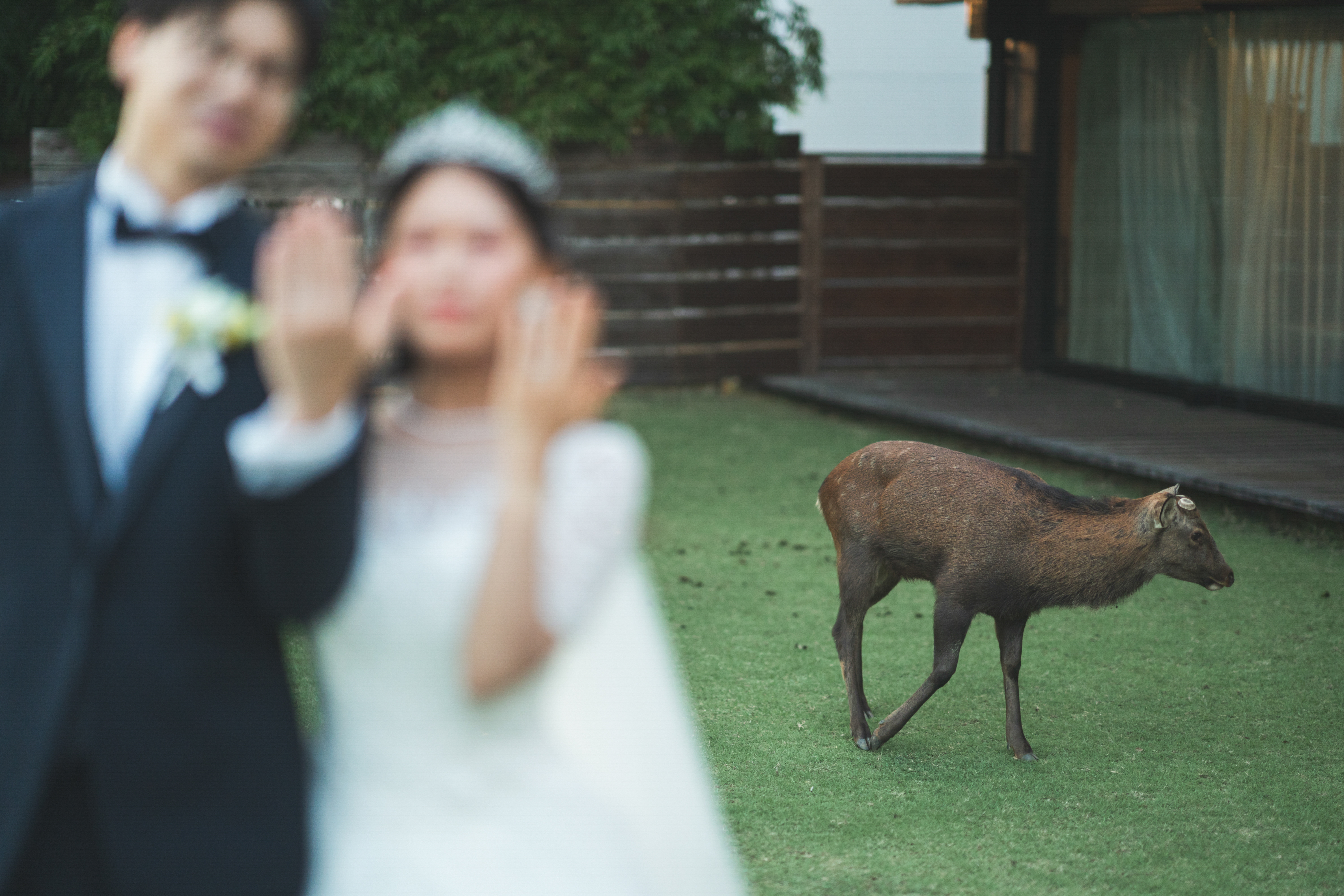 The KIKUSUIRO narapark(菊水楼)