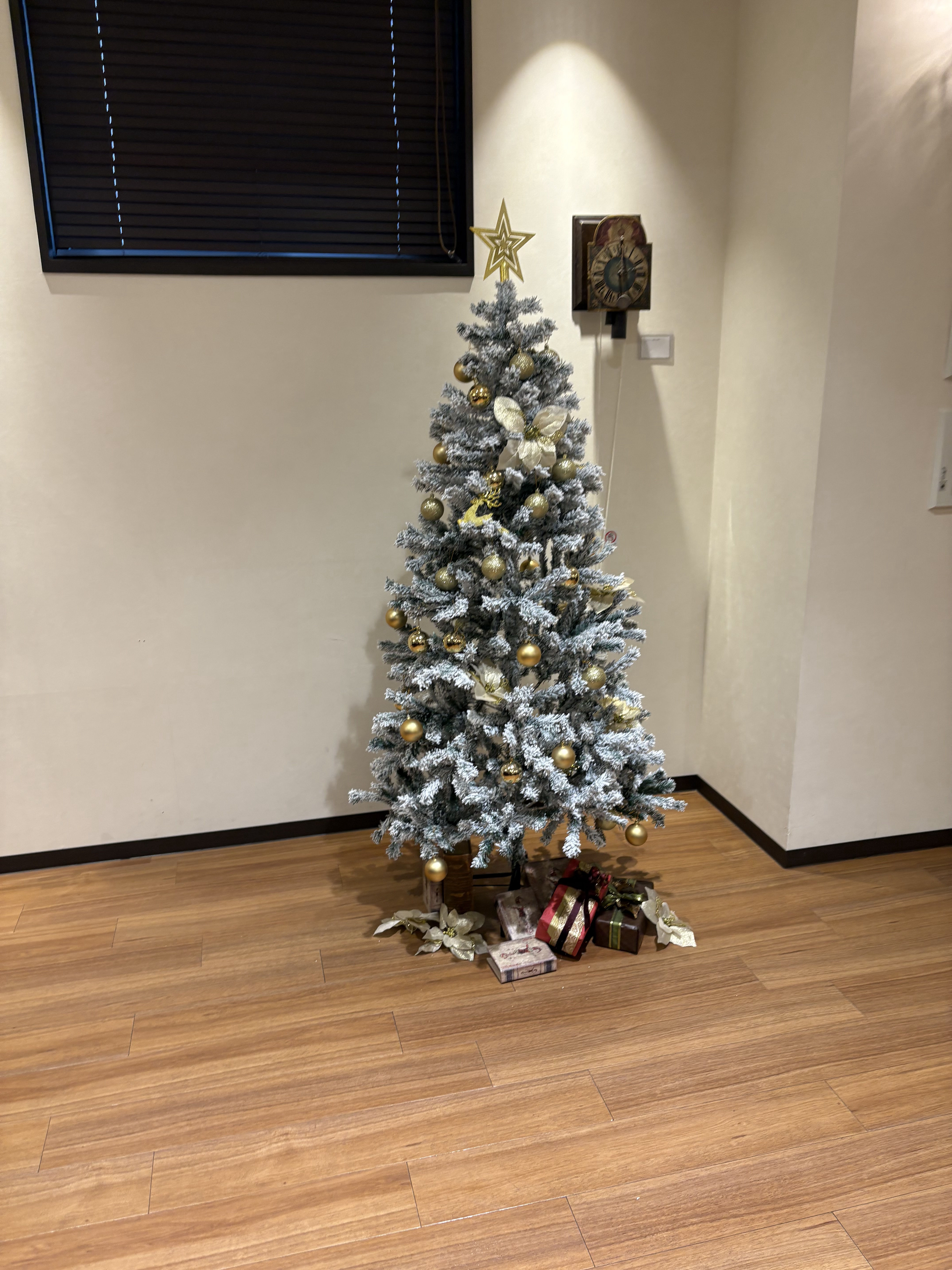 カサ・デ・アンジェラ青山(Casa d' Angela Aoyama)