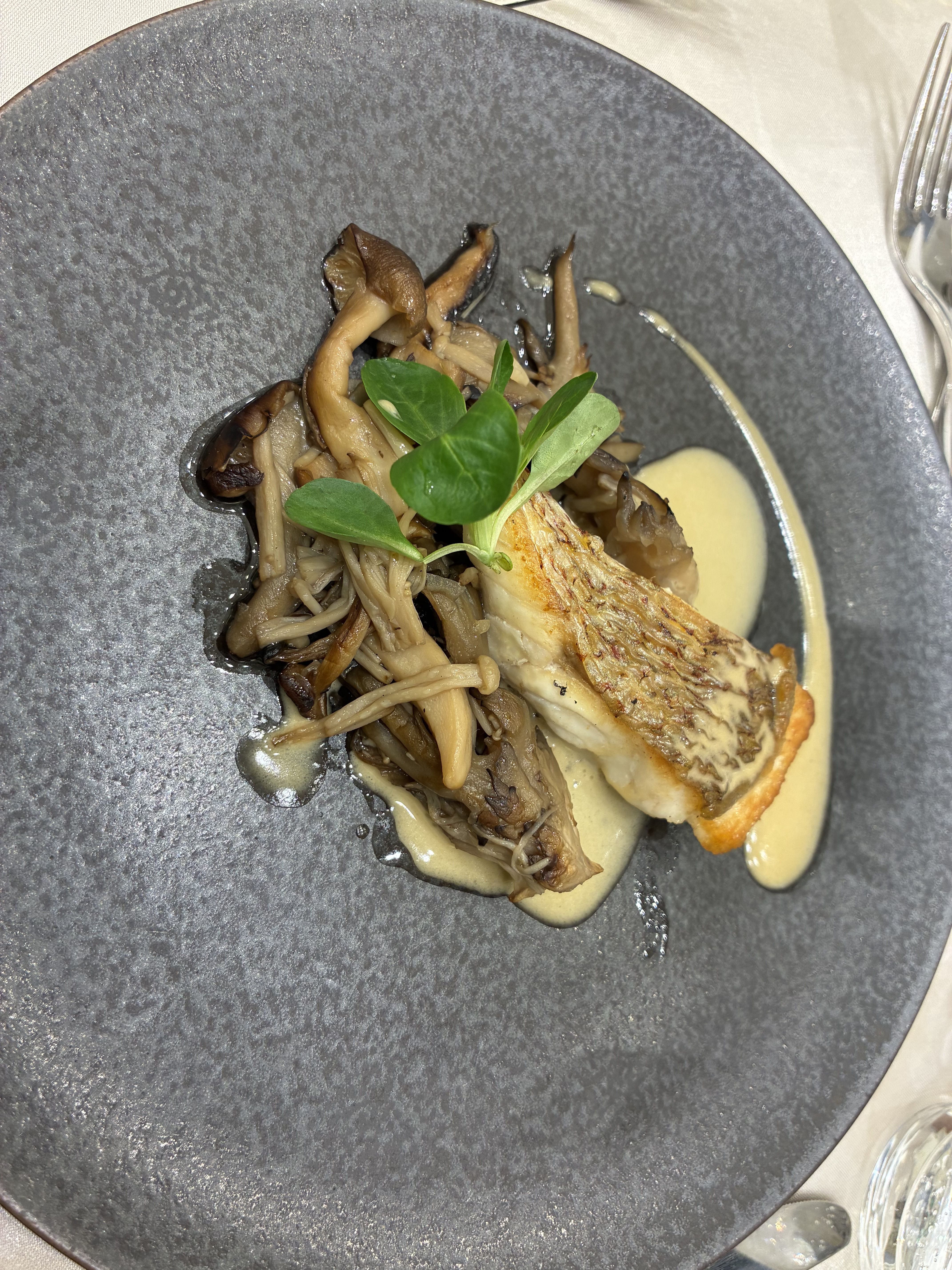 カサ・デ・アンジェラ青山(Casa d' Angela Aoyama)