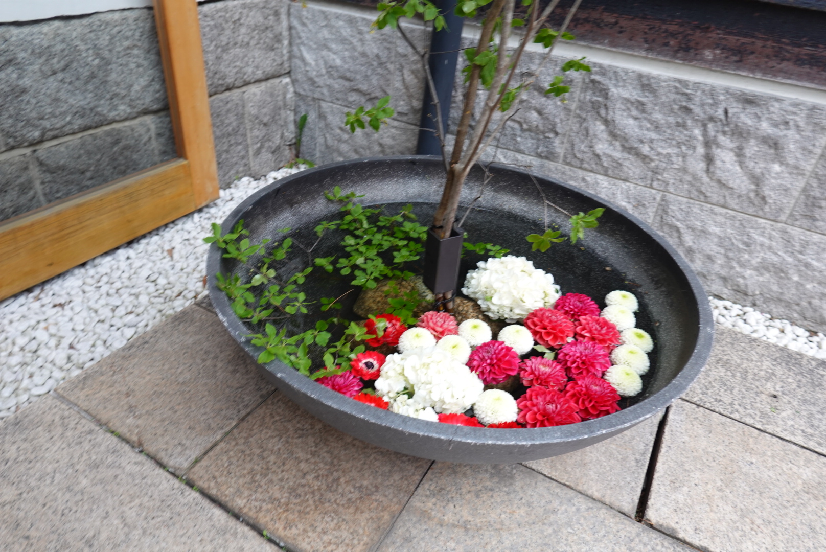 エルム ガーデン