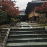 THE GARDEN DINING 弓絃葉