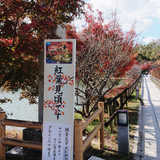 長岡天満宮