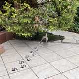 二条城チャペル セント・アベニール