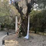 京都ノーザンチャーチ北山教会