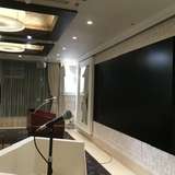 スクリーンではなく液晶の部屋も