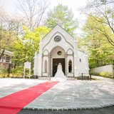 挙式前、桜が散ってます