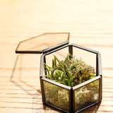 会場貸出のリングピロー