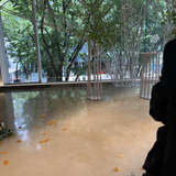 緑がいっぱい！