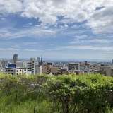 お庭でフラワーシャワーができます