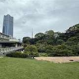 庭園からの景色