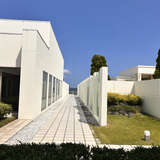 前撮りなどされるそう