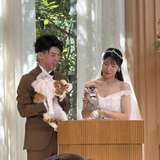 証明書肉球スタンプ