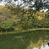 宿泊するロッジからの景色