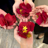 元々ある赤い花に、持込で星を入れました