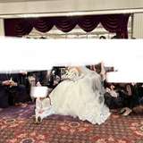 ウェルカムパーティ