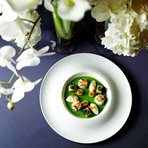 【1日限定】お料理重視の方必見！ショートコース付フェア■70名～