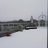 Ray Classic Gran Sweet