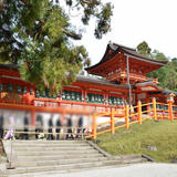 春日大社(三々九度)