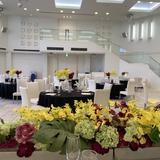 アルカーサル・ビエントス