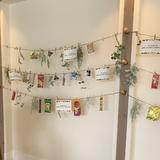 ウェルカムスペース