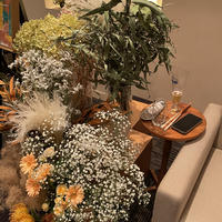 Belle Vie BELLE BRUGE