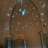 パラシオ デ ビアナ ベル・カーサ