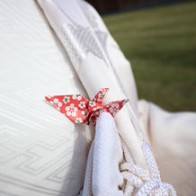 折り鶴&猫シャワー