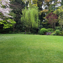 ガーデンで挙式、ケーキ入刀、乾杯可能