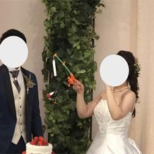ファーストバイト釣り