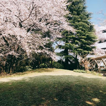 春には桜が満開に