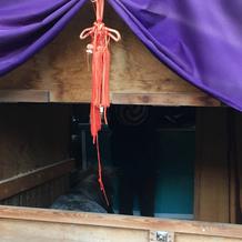 神馬のあかりちゃん