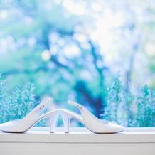 ミュールもレンタルできました