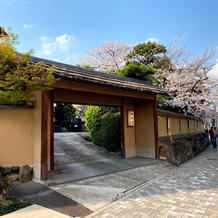 門横の桜の木