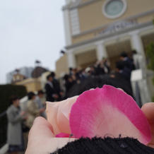 フラワーシャワー