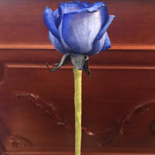 通路側ゲスト達が愛情を込めて新郎へ