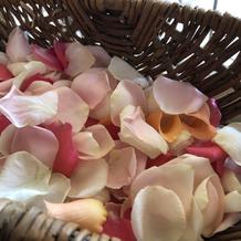 フラワーシャワー