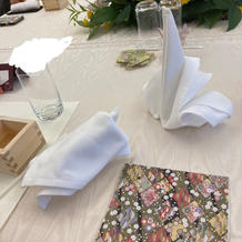 ペーパーナプキンの鶴と亀